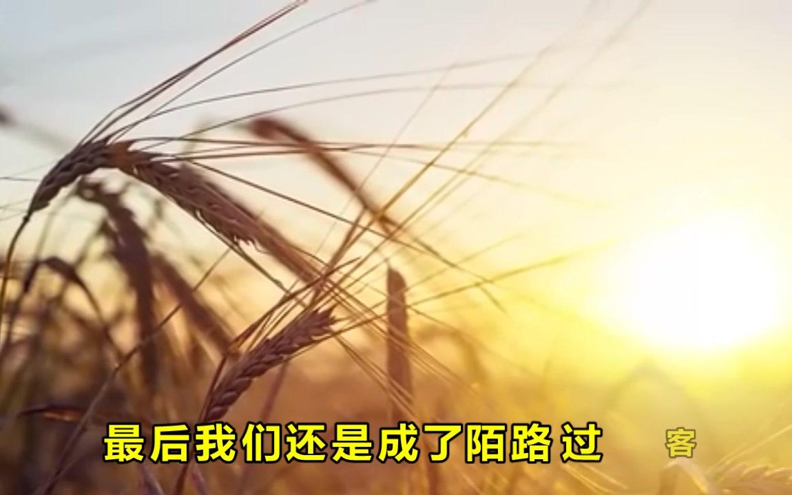 龙梅子一首《曾经相爱那么深》太好听了!