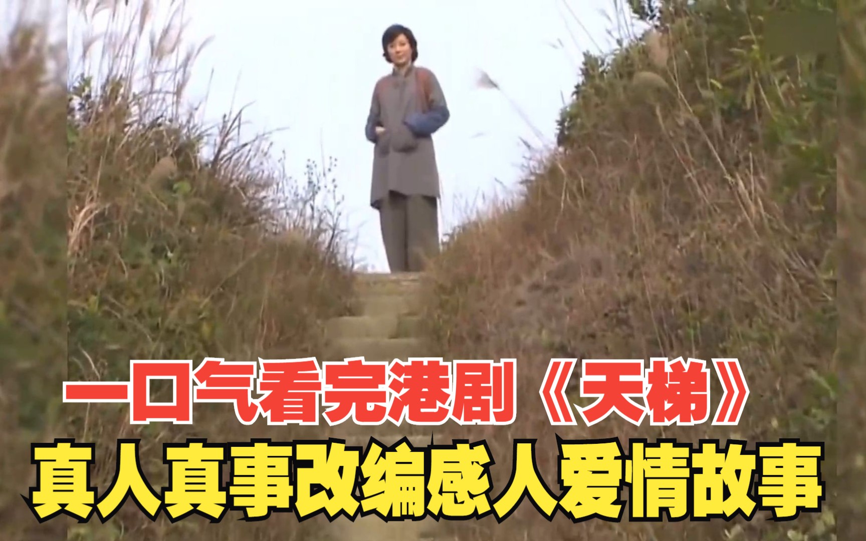 一口气看完真人真事改编港剧《天梯》，一段冲破界限的感人爱情故事