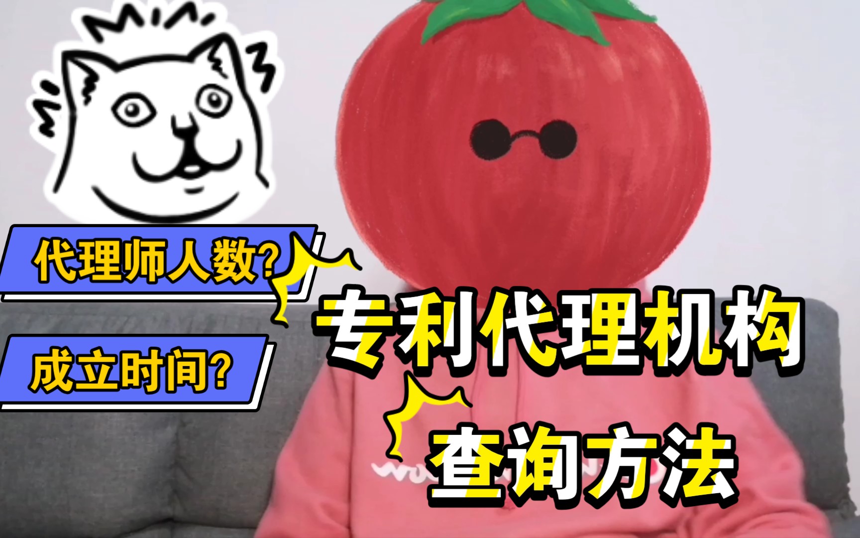 【杂谈】避免黑代理——如何查询专利代理机构/代理公司基本信息？人员情况？