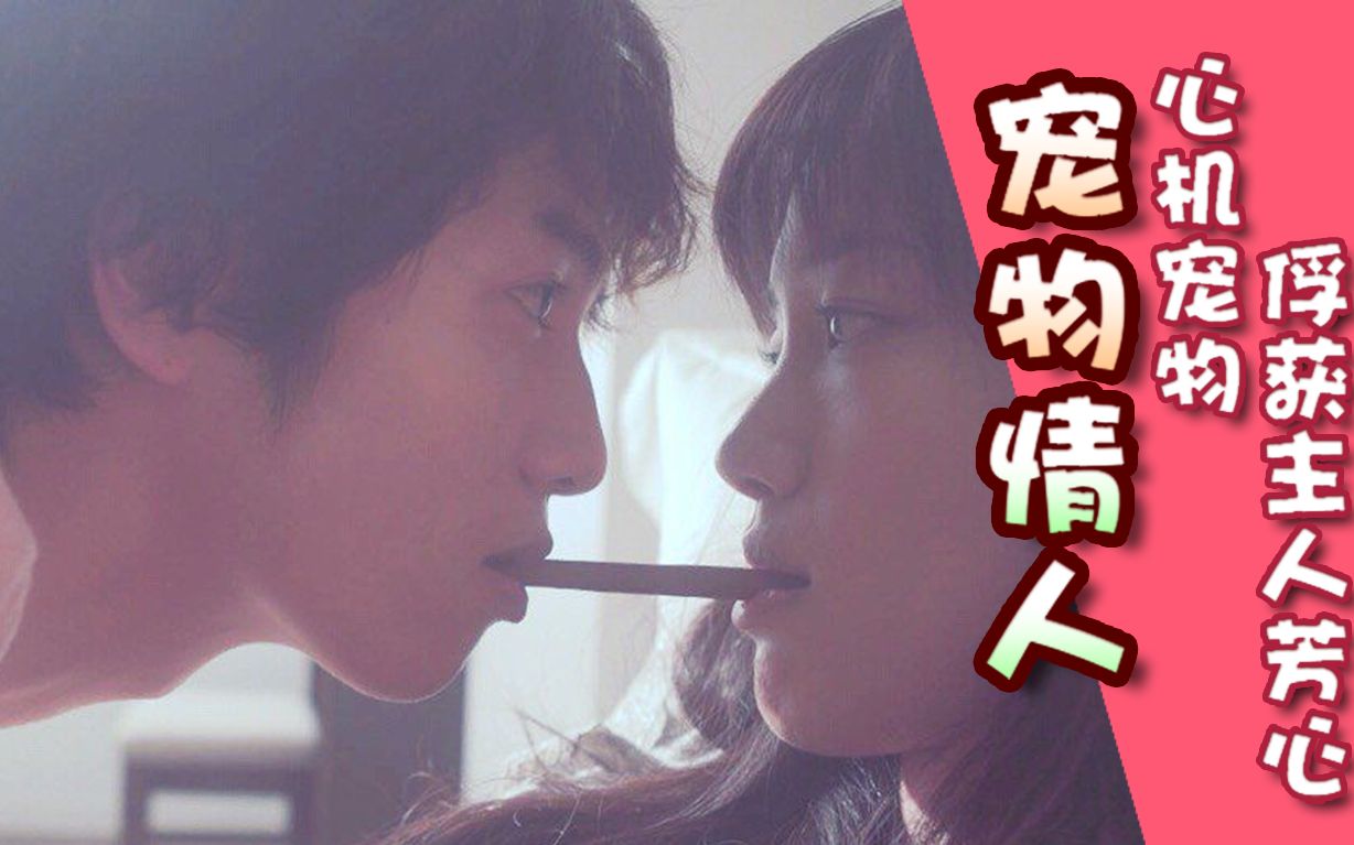 【剪瞳解说】雄性人类宠物也想和精英女主人谈恋爱？《宠物情人》剧情向解说