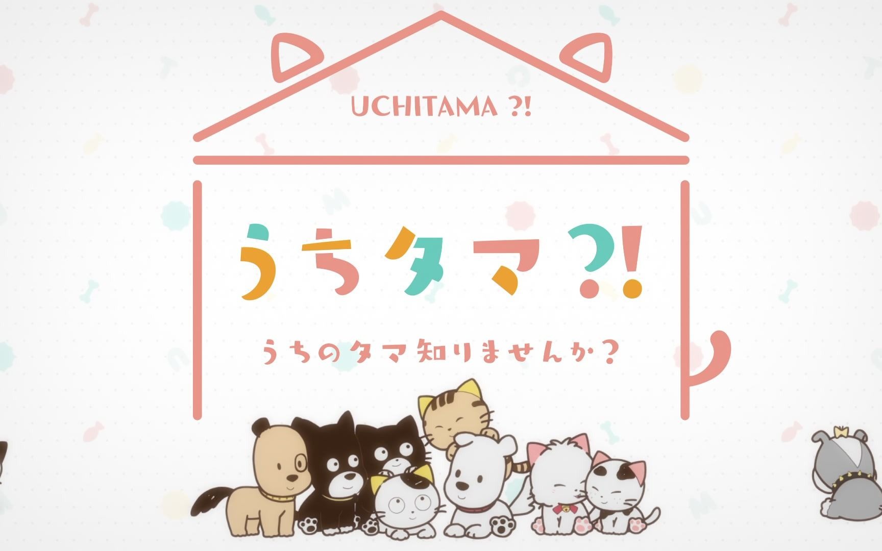 【1080P+/BD】UCHITAMA?!～猫狗宠物街～NCOP/ED