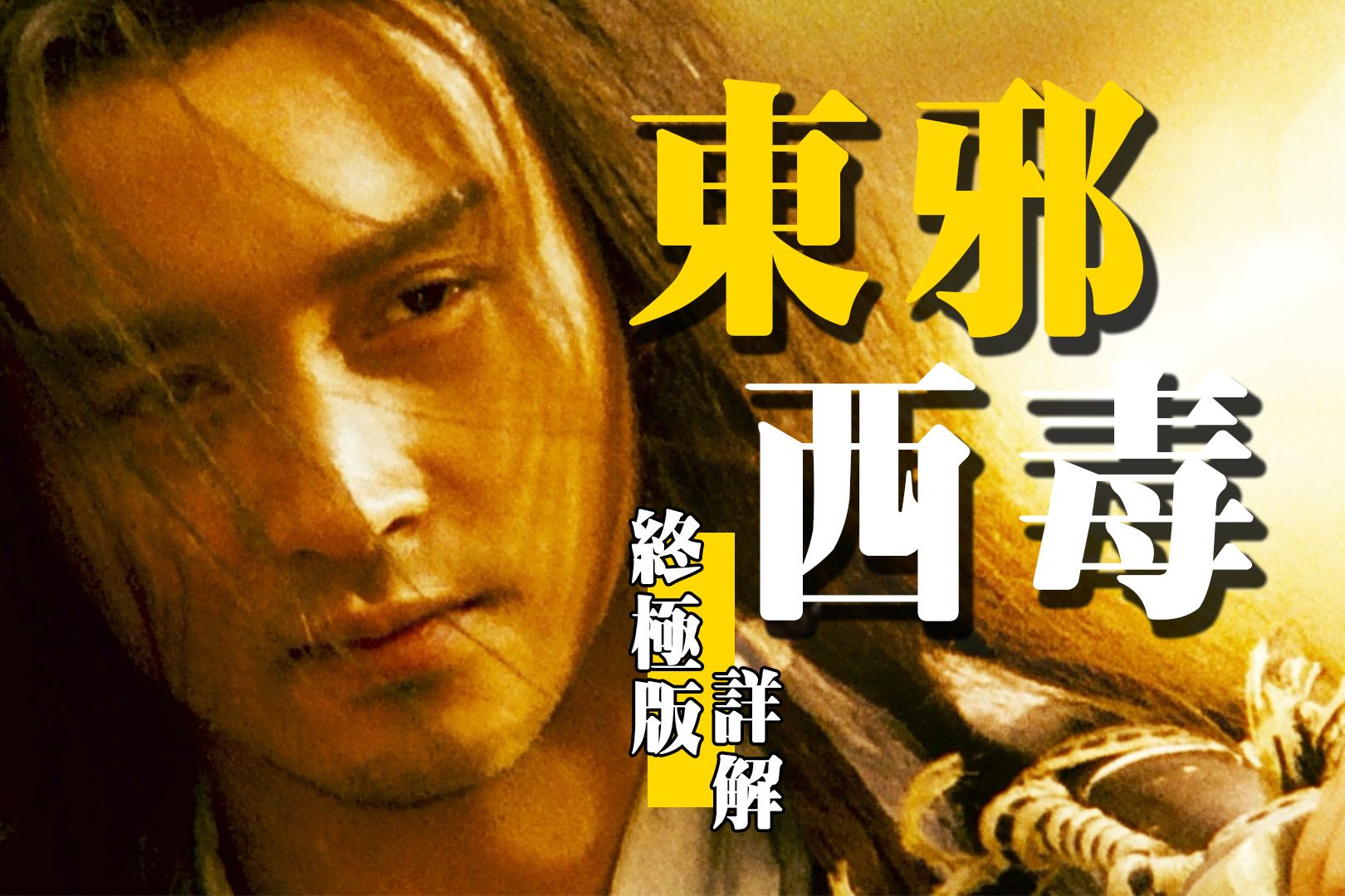 金庸气笑，资本跳脚，《东邪西毒》到底讲了个啥？王家卫|张国荣|梁朝伟|张曼玉|张学友|刘嘉玲|梁家辉|杨采妮|王家卫导演香港武侠文艺电影东邪西毒终极版