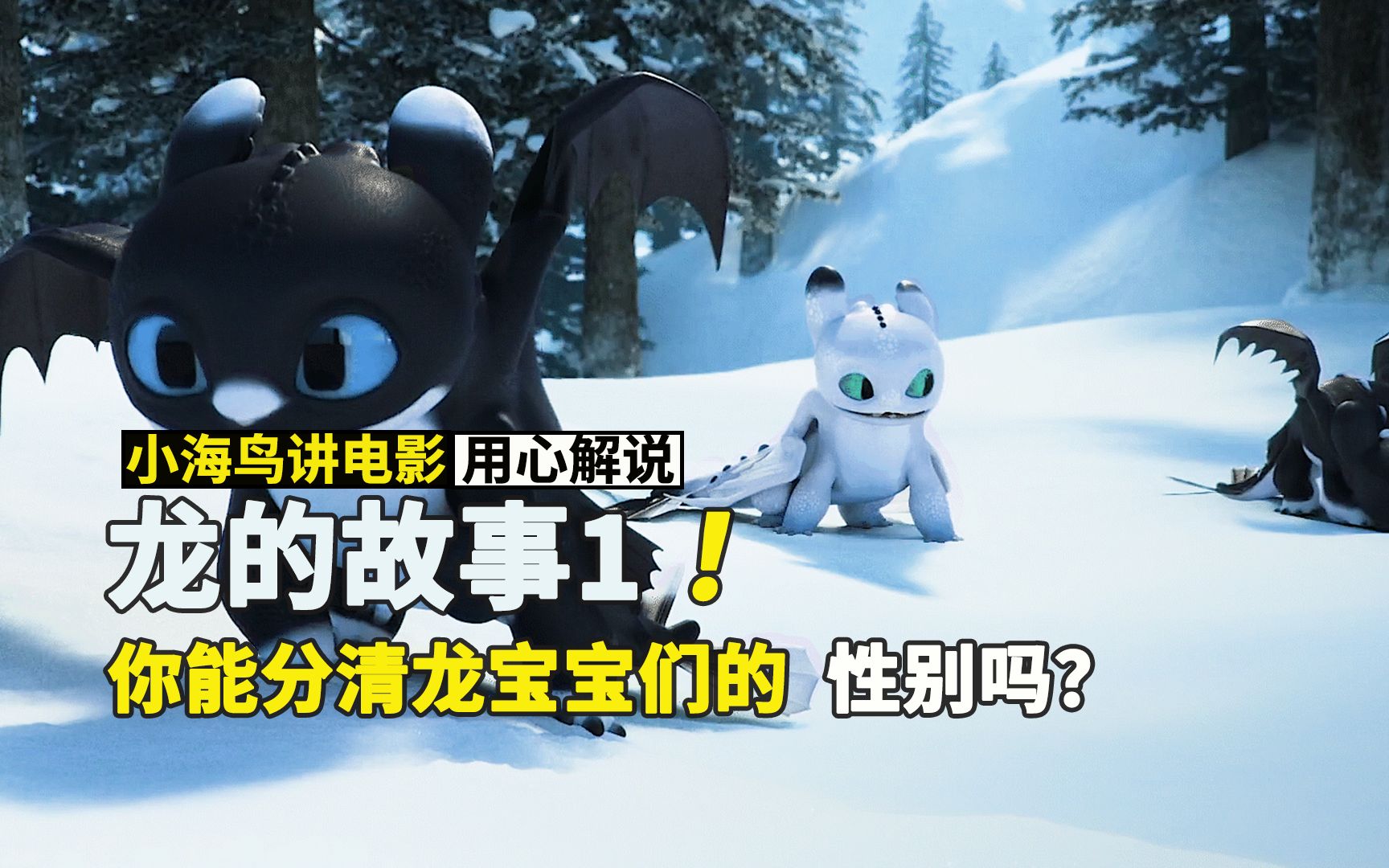 你能分清龙宝宝的们的性别吗？