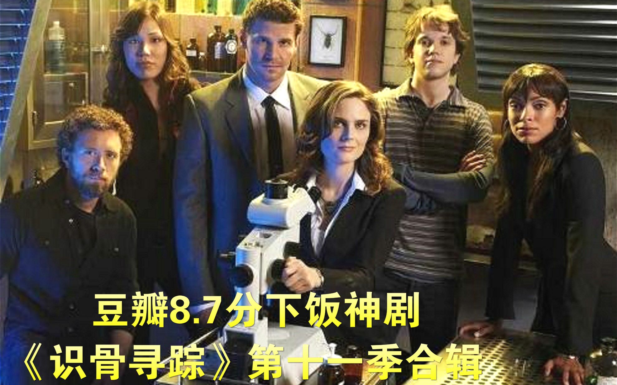 豆瓣8.7分下饭神剧，识骨寻踪第十一季解说合辑《哈士奇解说》