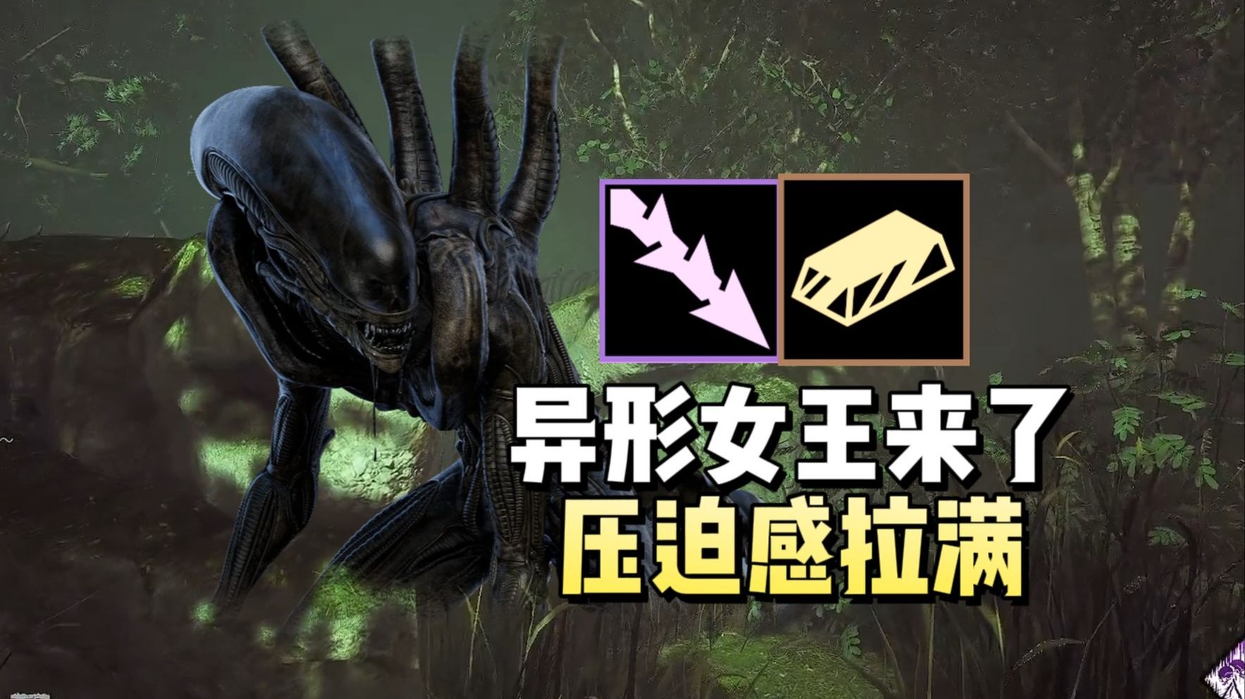 【马陆】超大异形女王来了！ 巨大身体 压迫感拉满！