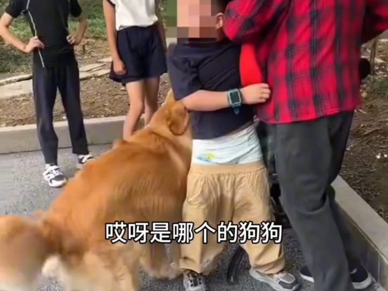 遛狗一定要牵绳！未牵绳的犬只吓到孩童，孩子受惊尿裤子，狗主长时间未出现