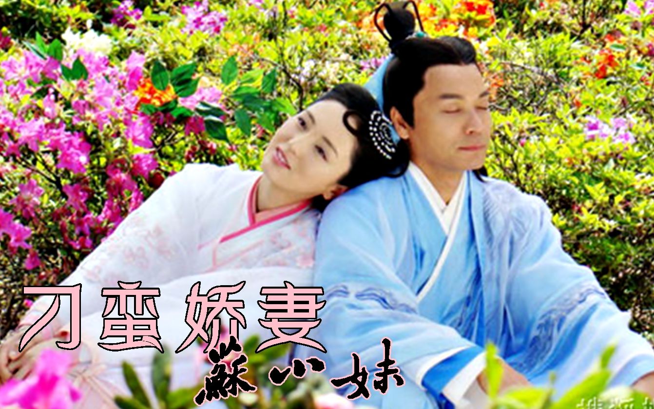 【怀旧】2010年《刁蛮娇妻苏小妹》（郭晋安，董璇，魏俊杰，苑琼丹，邵传勇， 骆达华，刘庭羽）