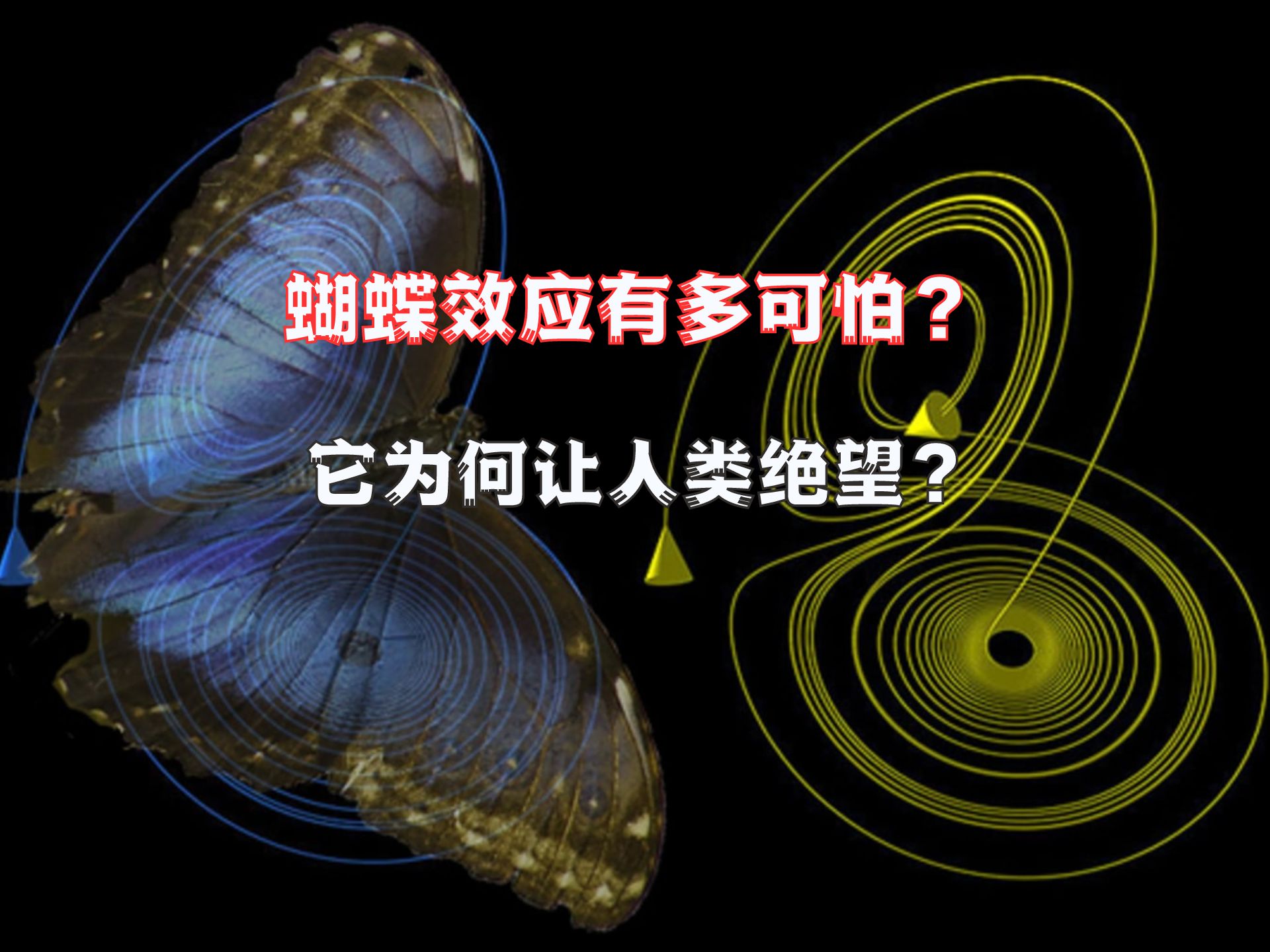 一个让人类绝望的理论，蝴蝶效应