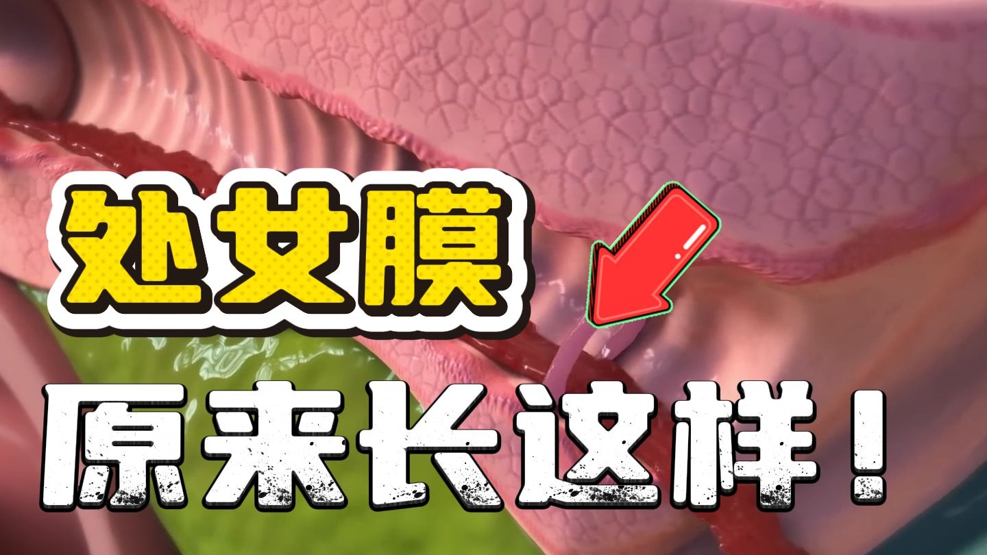 为什么古代女子第一次都有落红？而现代却少了很多？处女膜到底有什么用？