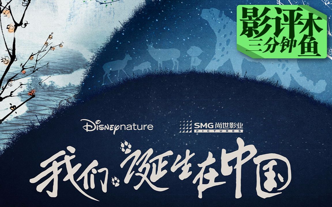 【我们诞生在中国】木鱼三分钟影评——生命的悲情与悲壮