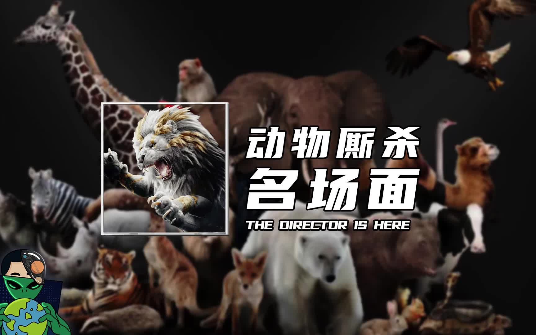 动物厮杀名场面