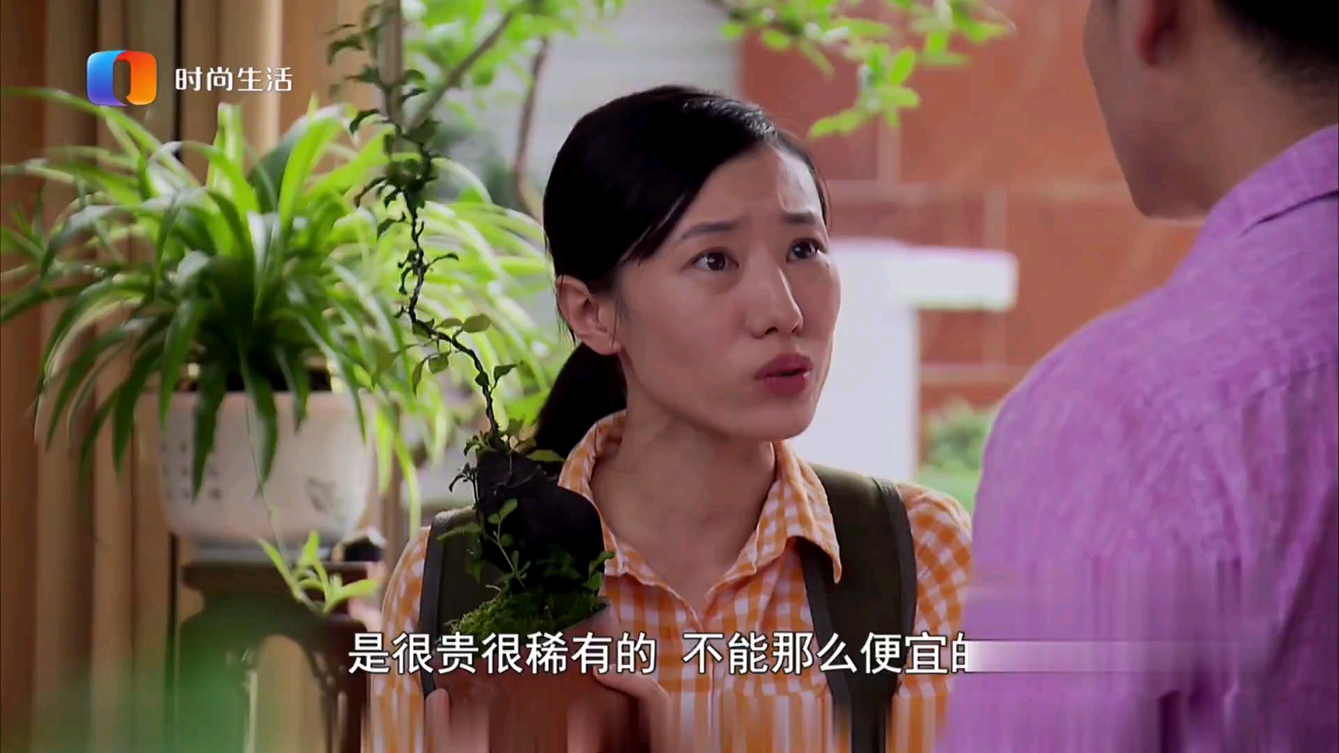 栏目剧：当家的女人 张耀尹，陈曦，程添琪，莫才兰