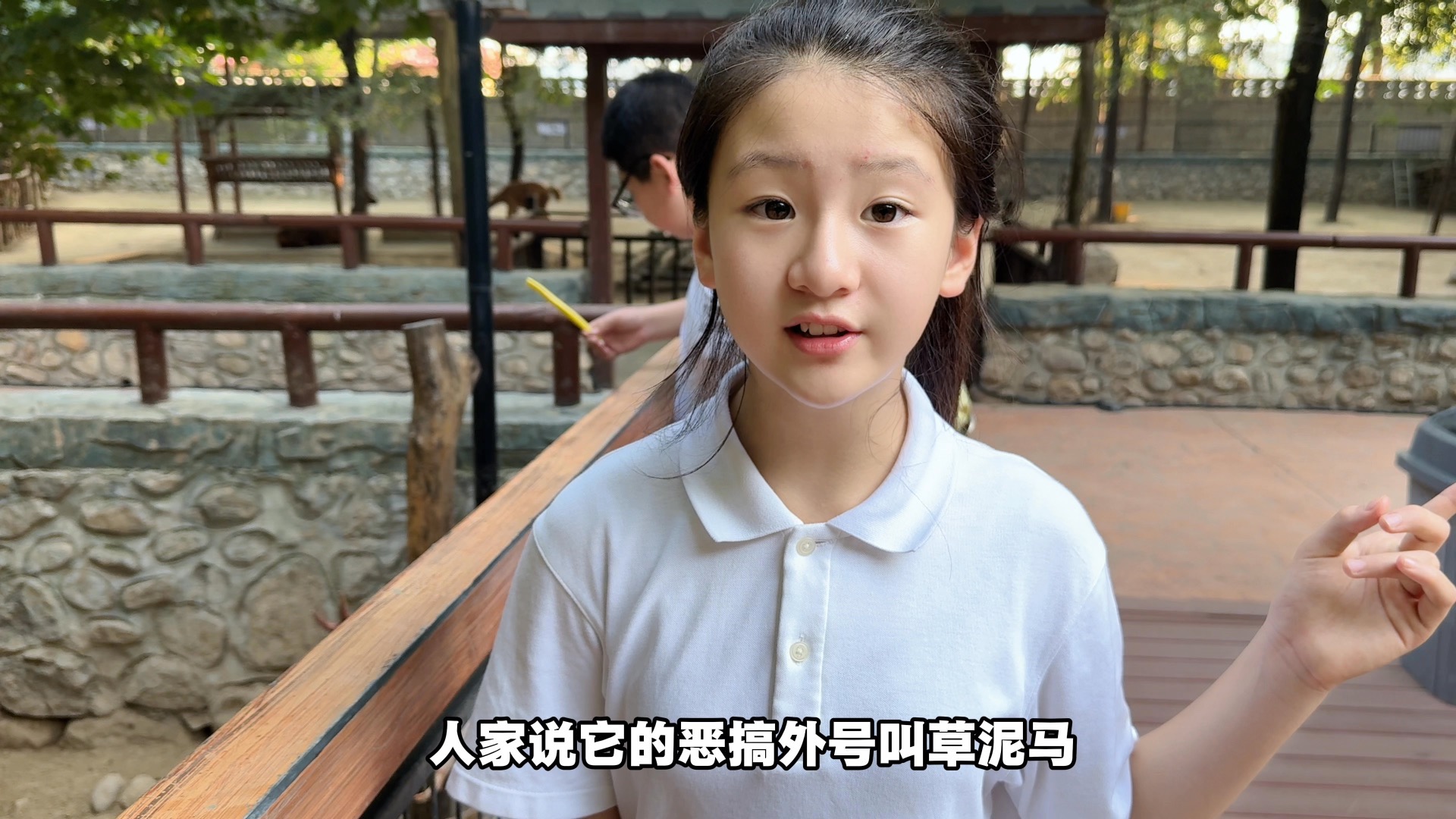开学前一天全家去动物园喂动物！有多开心！