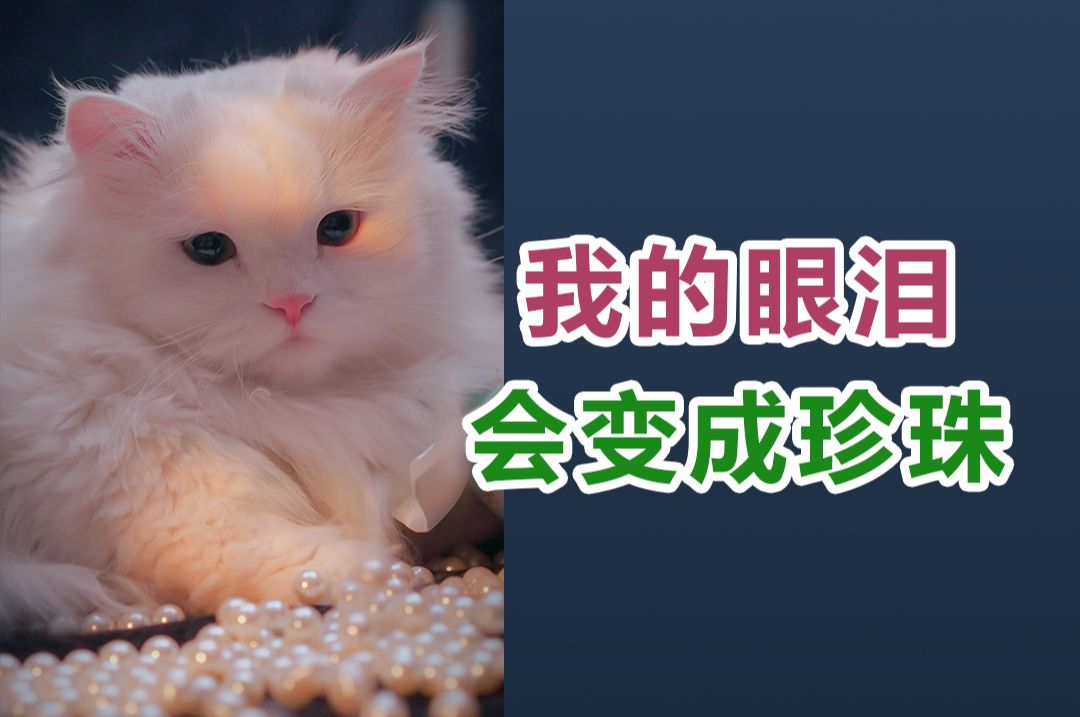 我是只珍珠猫，我的眼泪会变成珍珠