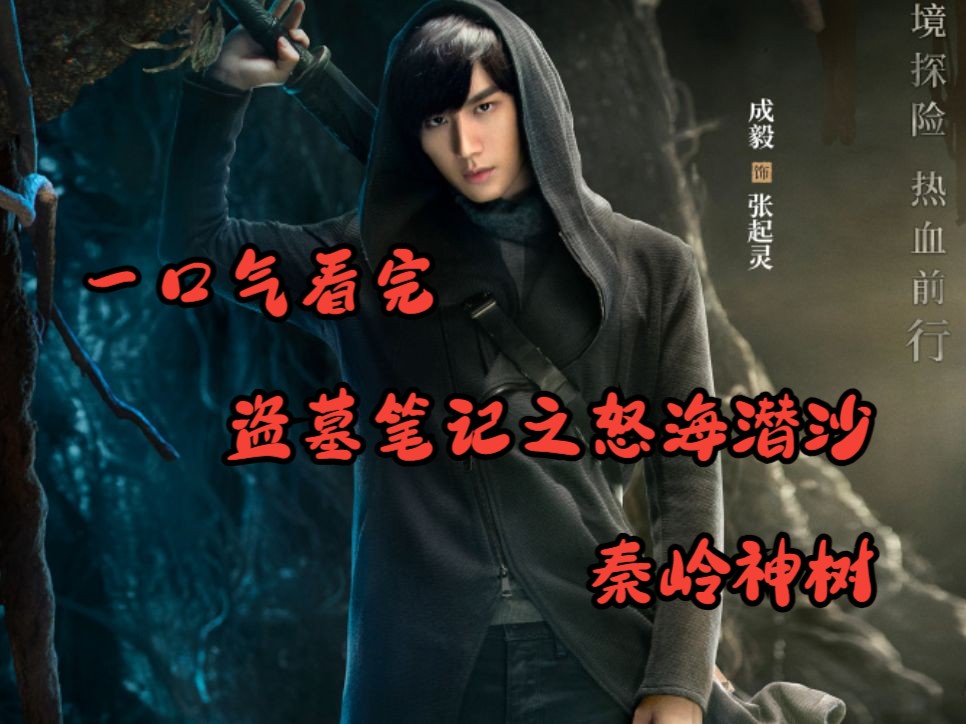 盗墓笔记之  怒海潜沙  秦岭神树  一口气看完