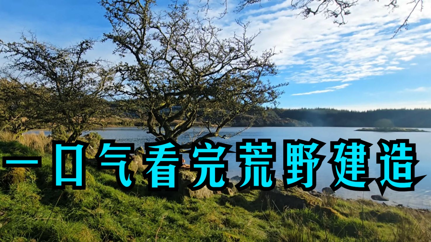 一口气看完超长荒野建造完整版