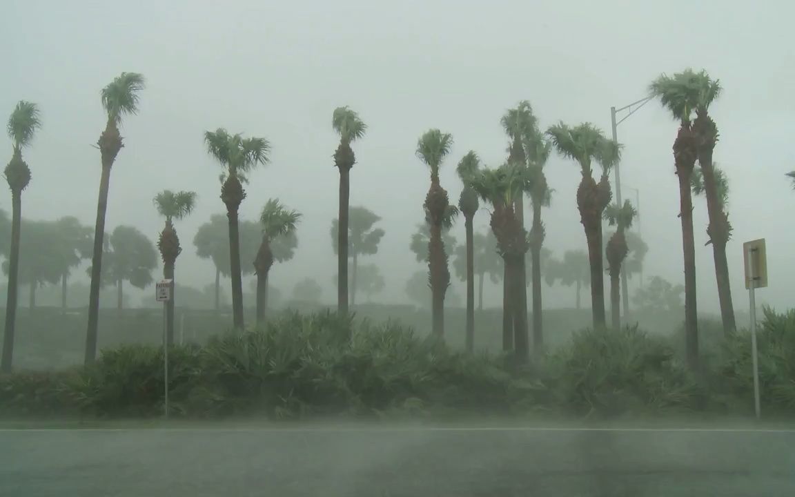 失眠改善 风声 雨声 雷声 台风肆虐 雷雨交加 风狂雨骤 适合睡眠