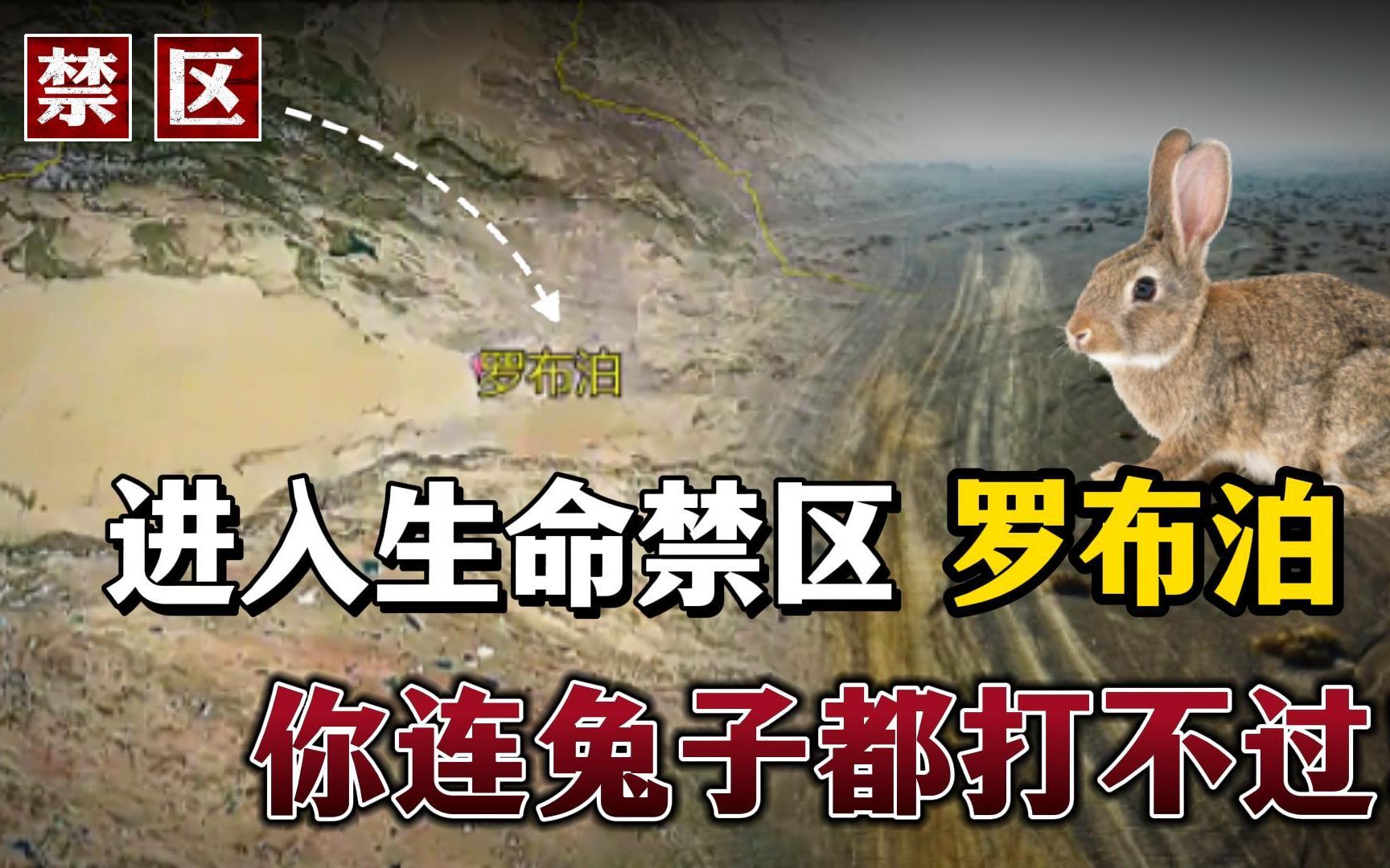 进入生命禁区罗布泊无人区，你可能连一只兔子都打不过！