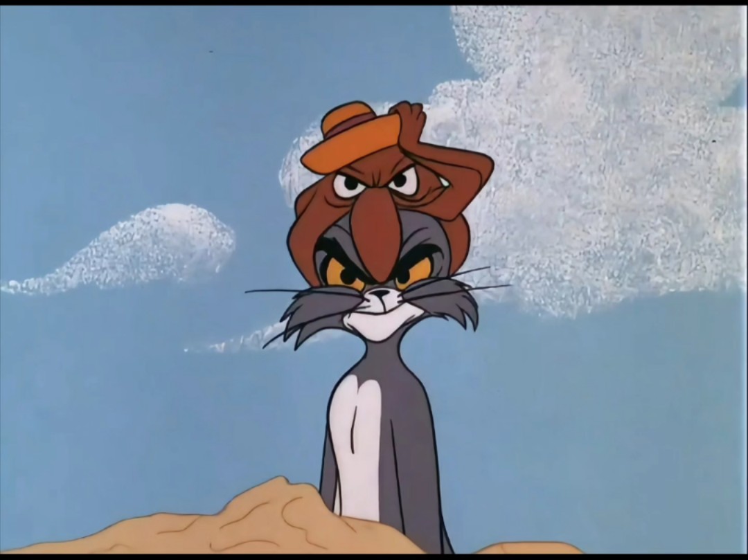 Tom and Jerry冲浪的猫