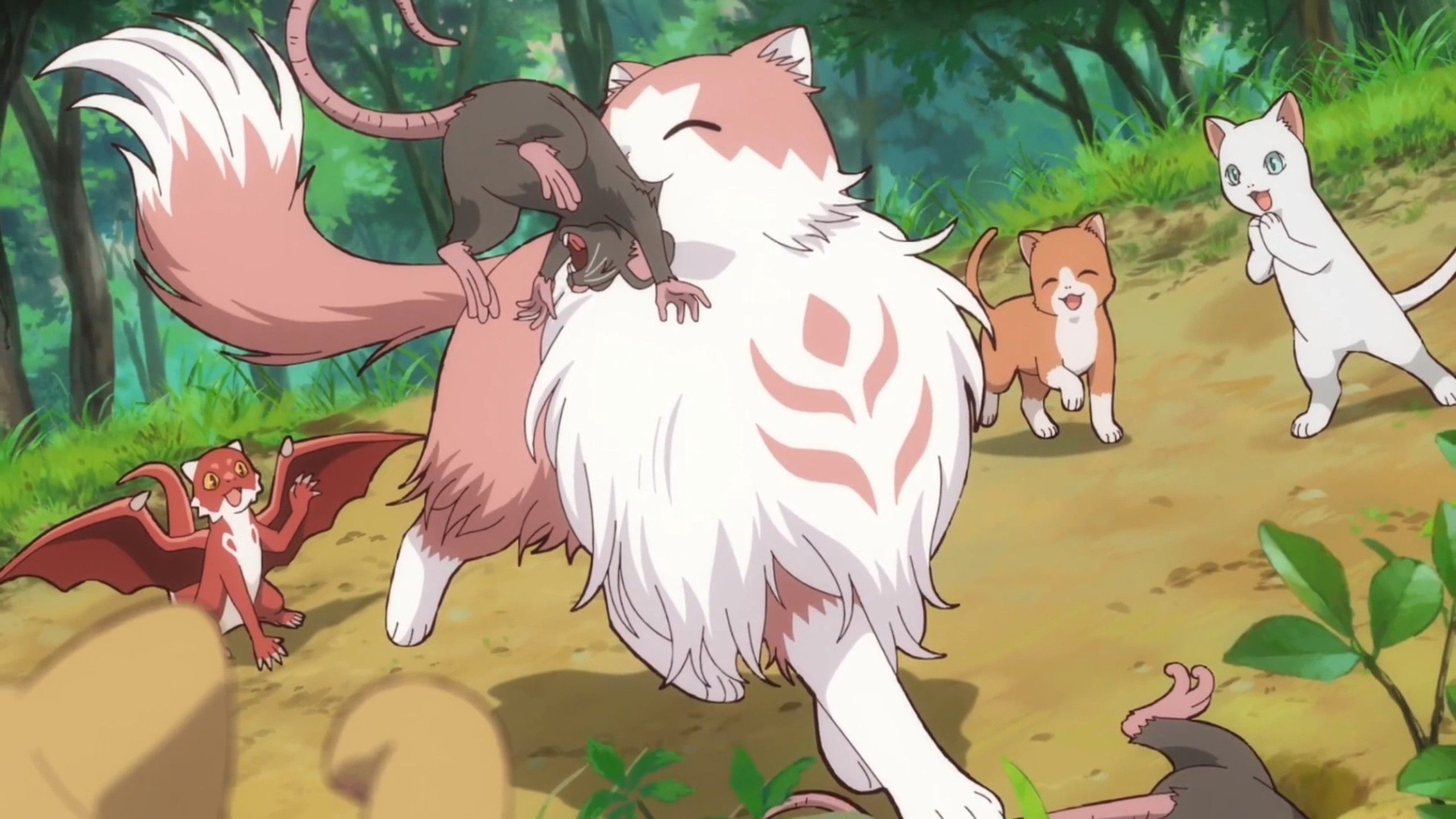 《猫与龙》全12话