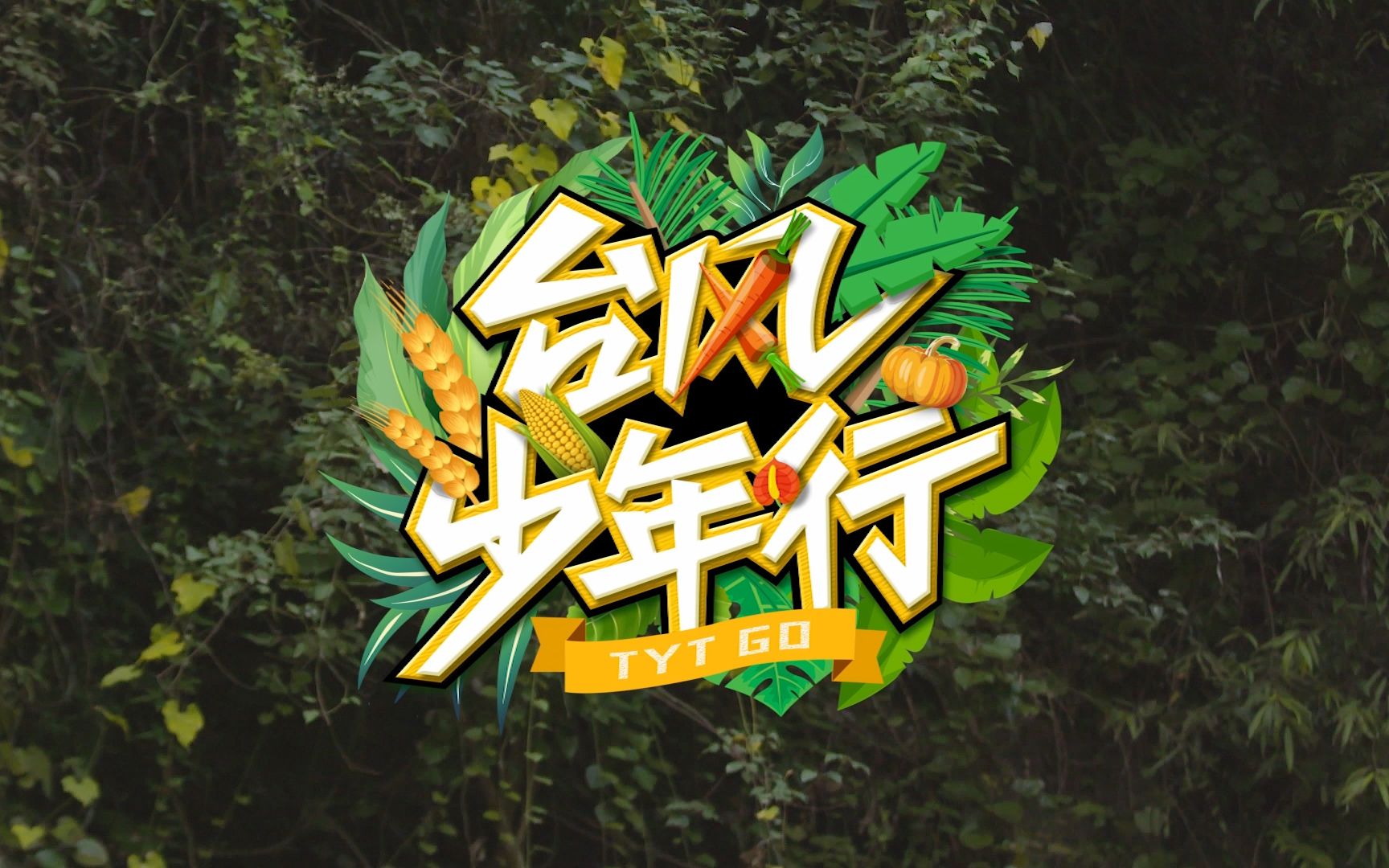 【台风少年团】台风少年行