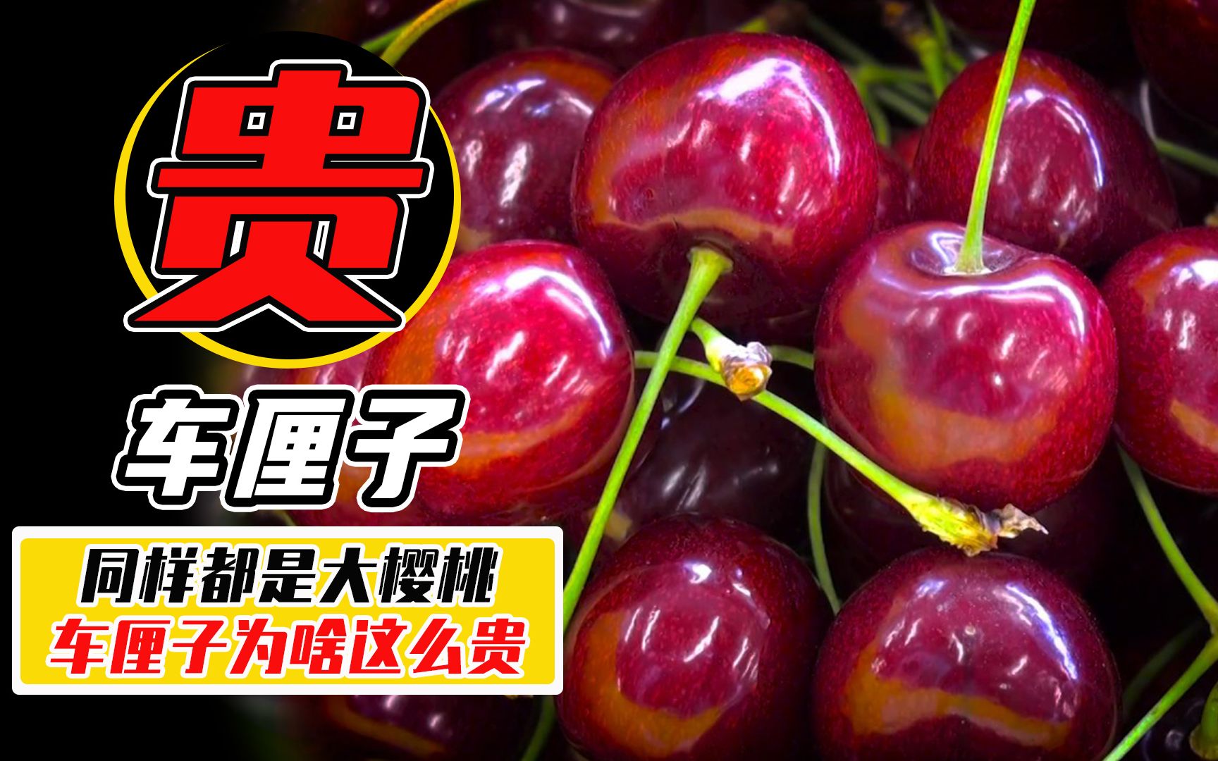 智利的车厘子为什么这么贵？山东大樱桃能与之相比吗