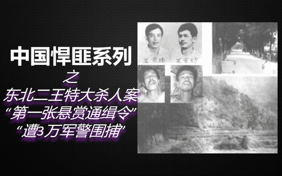 【老王】8分钟带你了解《东北二王特大杀人案》始末！3万军警围捕，第一张悬赏通缉令给了他俩！
