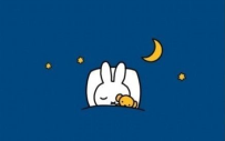 【动画/480P】 米菲Miffy 第√4季-OVA圣诞特别篇 【中文字幕】