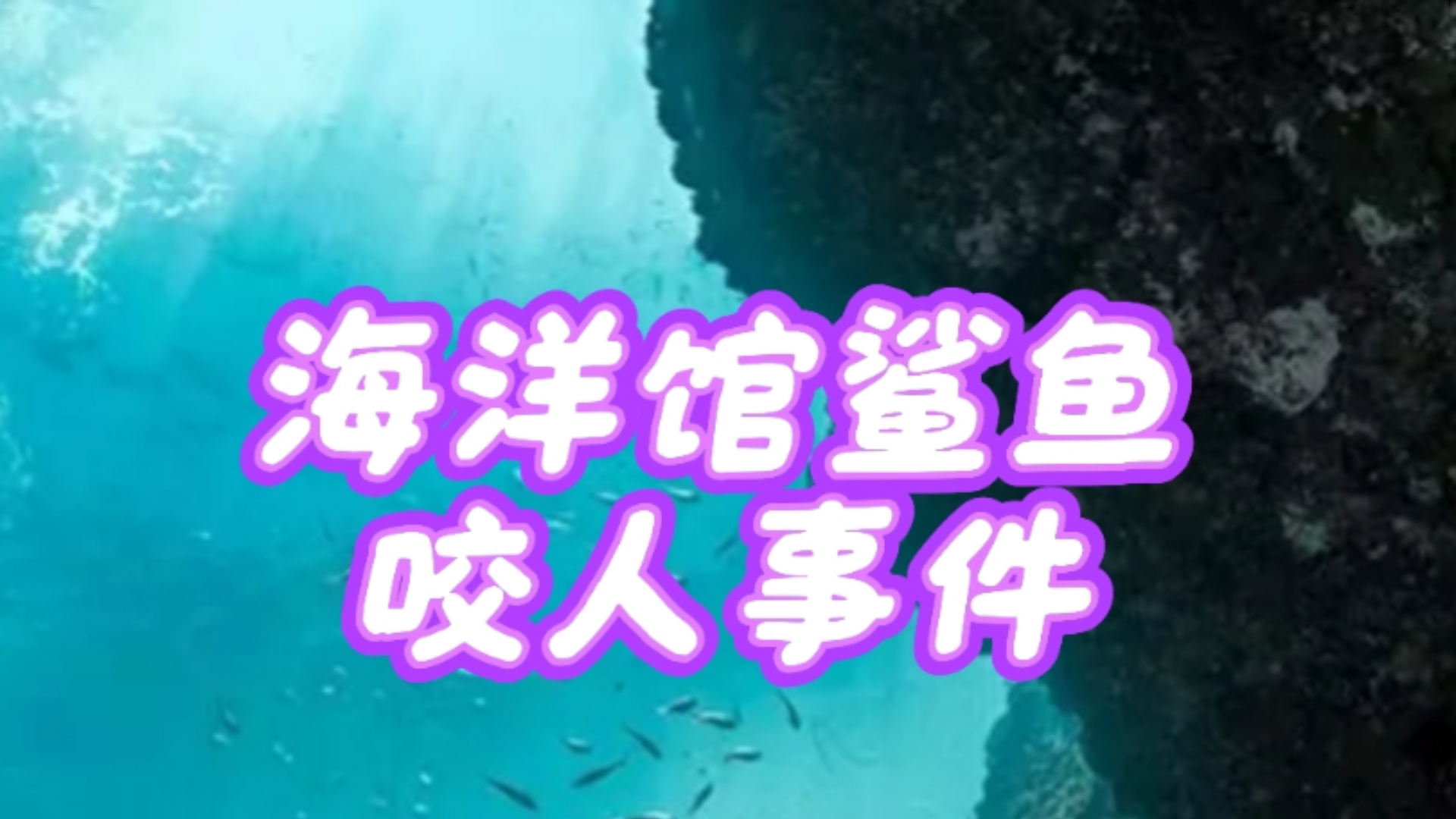 长沙鲨鱼咬人事件分析