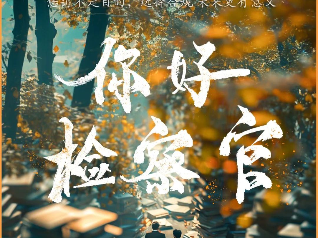 《你好，检察官》