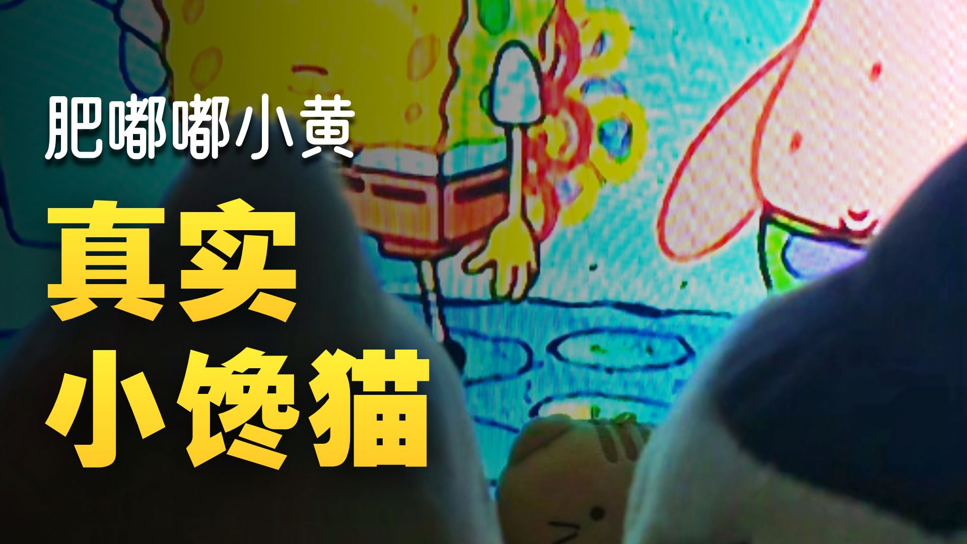 最肥嘟嘟的小黄(>^ω^<)