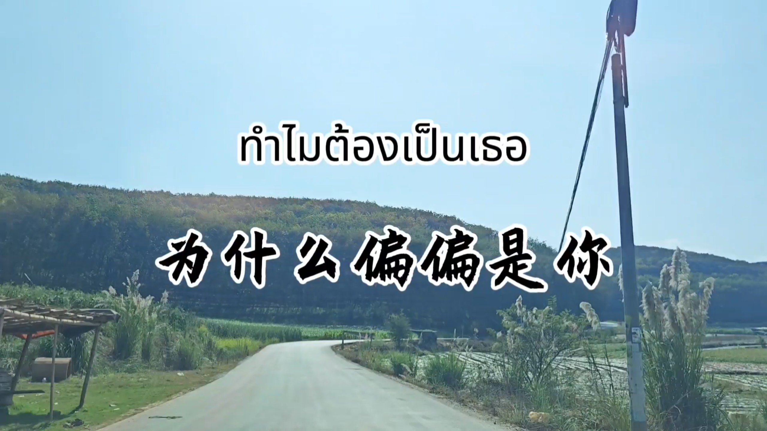 ทำไมต้องเป็นเธอ（为什么偏偏是你）