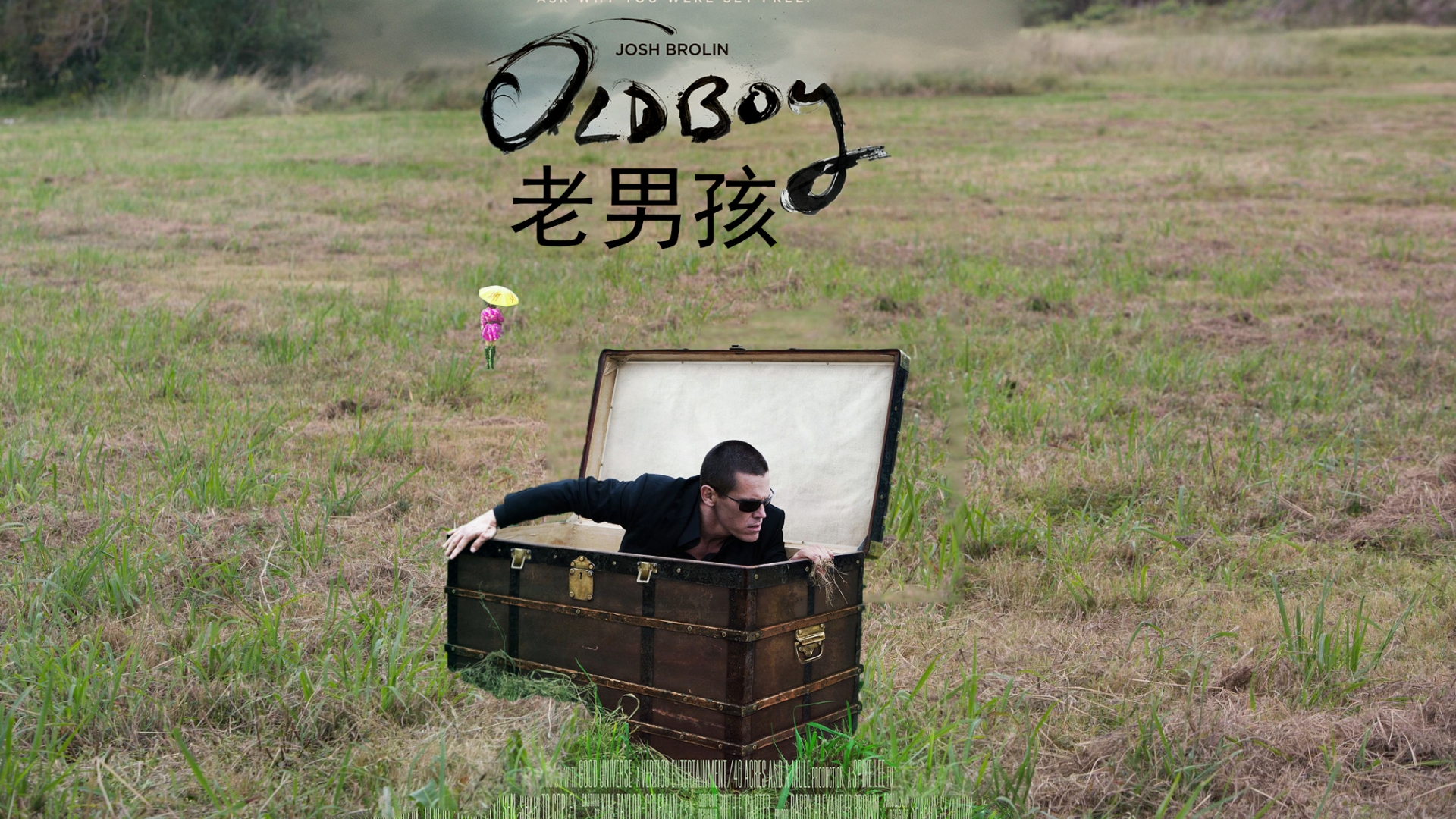 2013动作惊悚《老男孩》1080p.BD中英双字