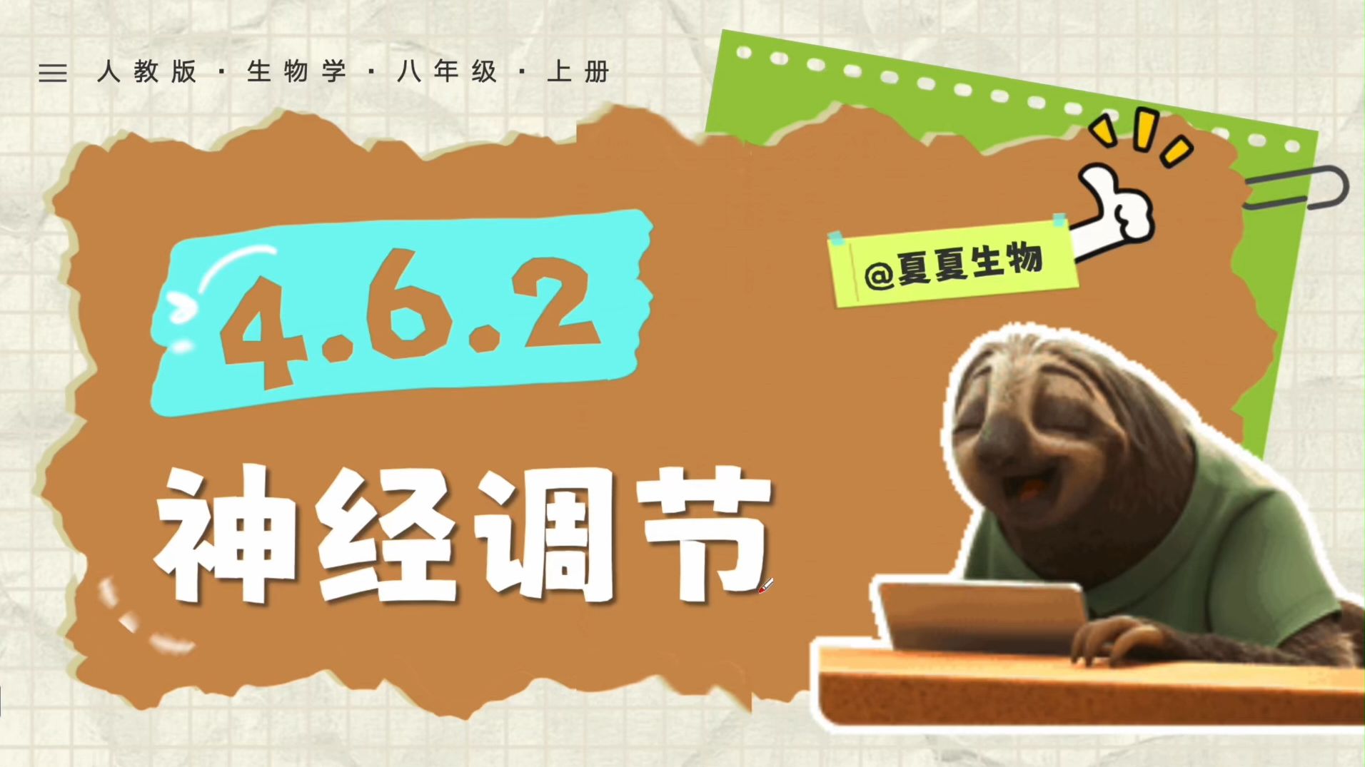 【夏夏老师】4.6.2 《神经调节》第1课时微课视频，跟着夏夏学八上，暑期提前预习，开学惊艳所有人！