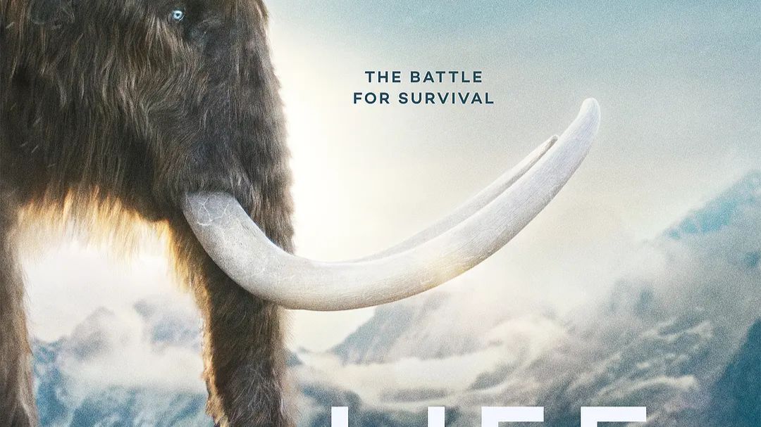 我们星球上的生命 第一季 Life on Our Planet Season 1 (2023)