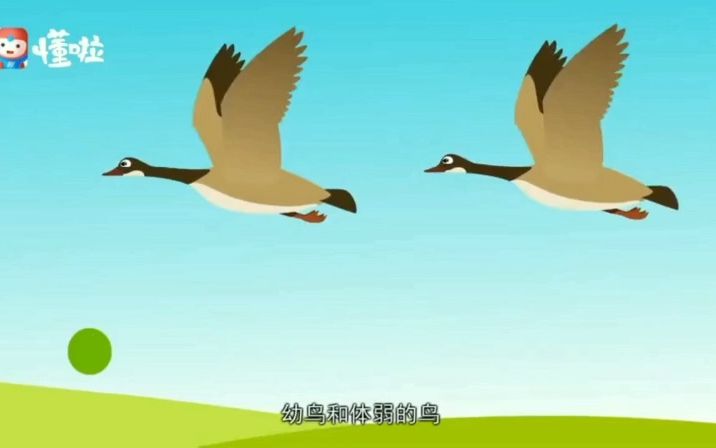大雁南飞