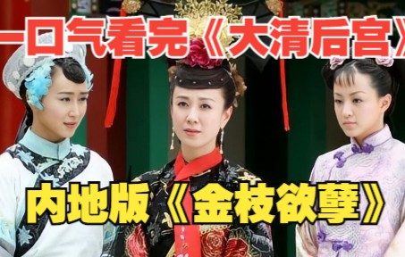 一口气看完《大清后宫之还君明珠》清朝道光年间后宫斗争的经过，素有“中国内地版《金枝欲孽》”和“大陆版《大长今》”之称