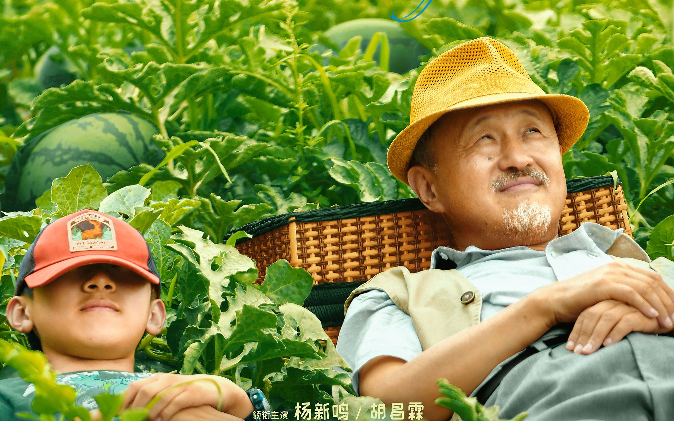 久石让作曲！杨新鸣公路喜剧《川流不“熄“》预告，定档05.26