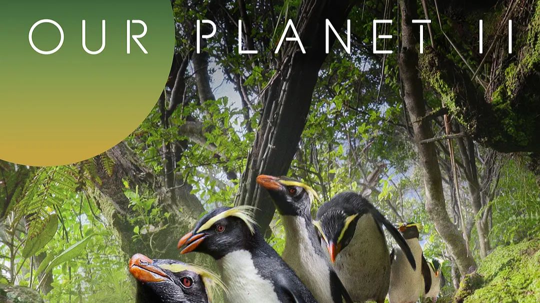 我们的星球 第二季 Our Planet Season 2 (2023)