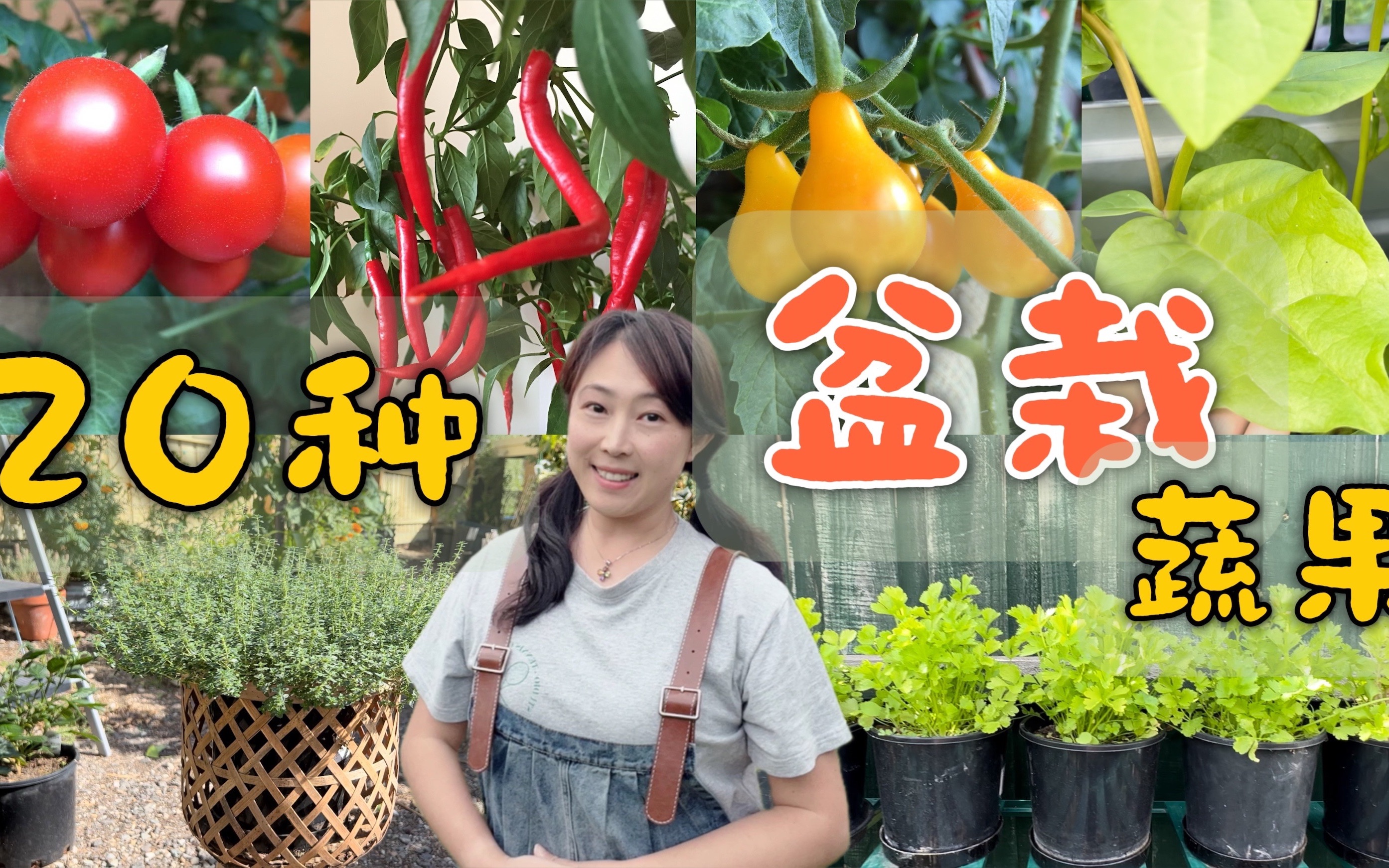 不需要院子，这20种蔬果，花盆里也能种