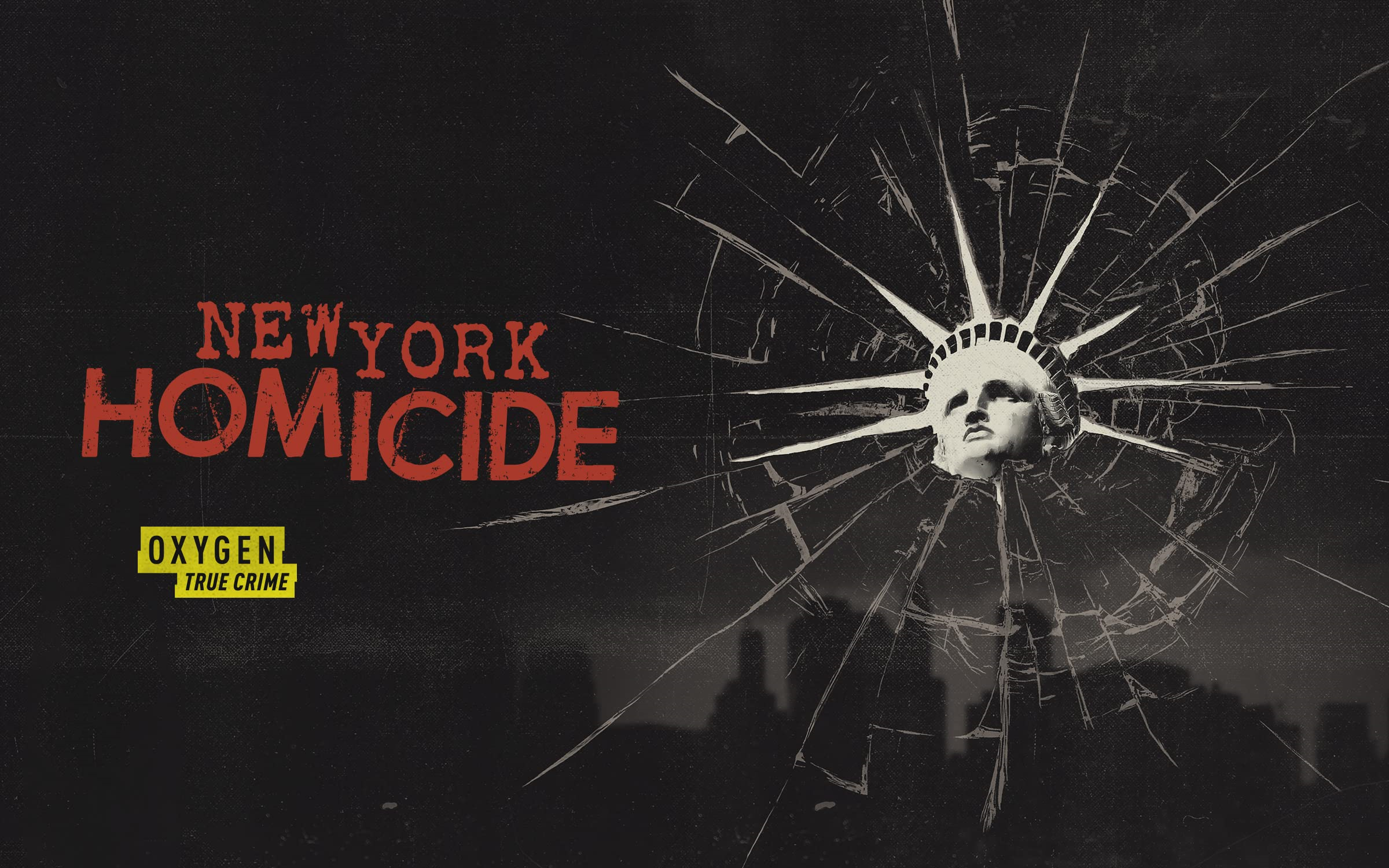 纽约凶杀案 第一季全十二集 New York Homicide