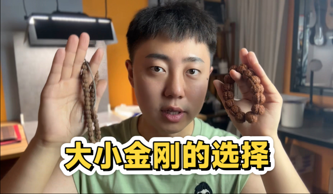 新手入门选大金刚还是小金刚？