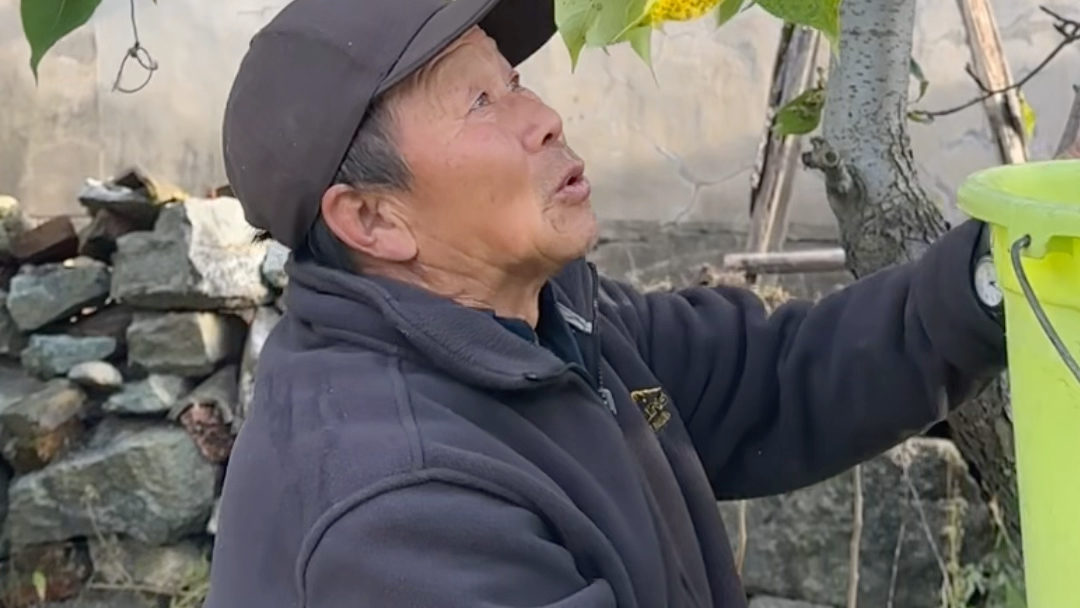 又是回娘家婆家进货的一天