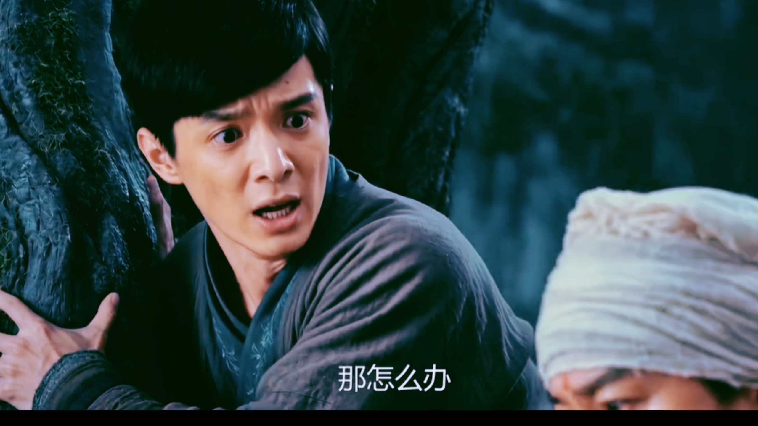 蝴蝶做梦