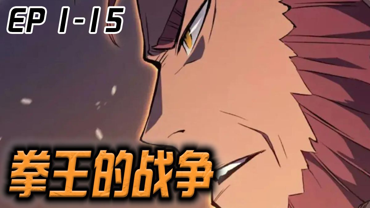 《拳王的战争1-15》：世界是一个强者云集、格斗家们竞相展示实力的舞台。