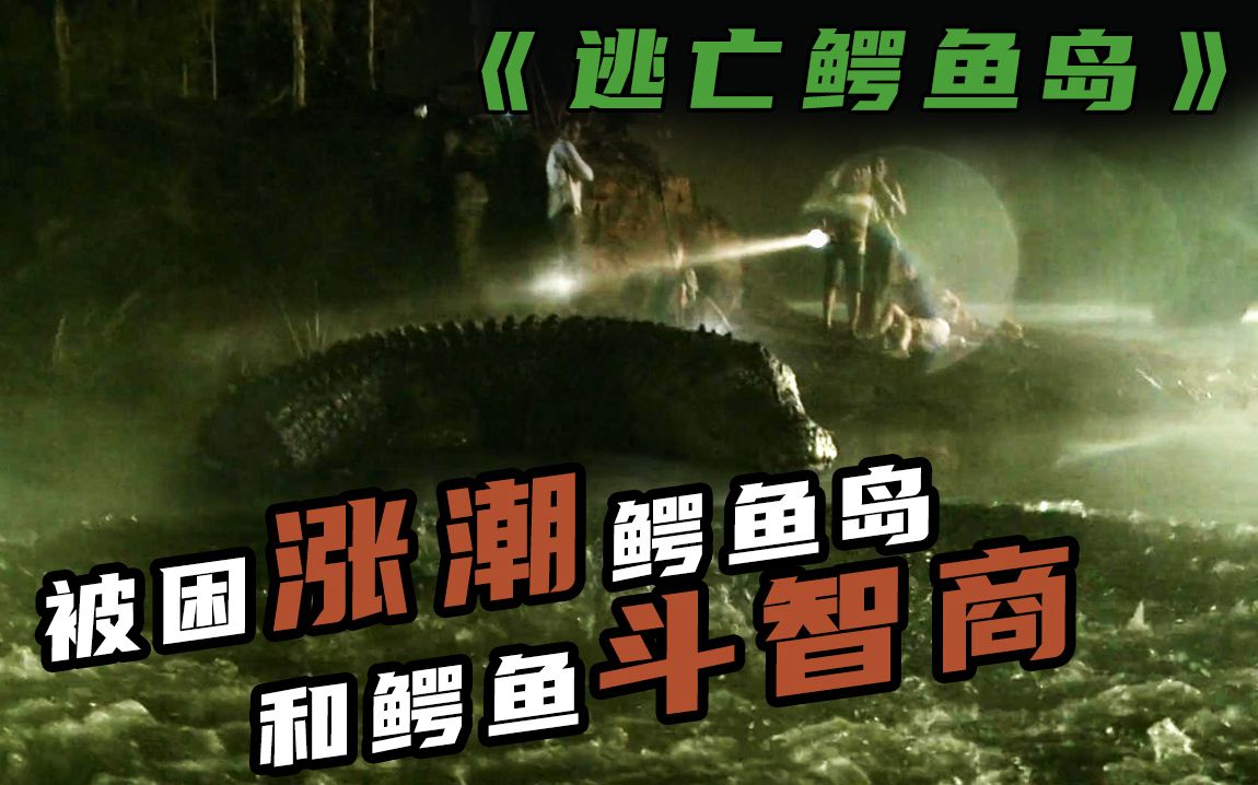 最好看的鳄鱼电影之一，旅游团被困涨潮鳄鱼岛，和鳄鱼斗智斗勇《逃亡鳄鱼岛》