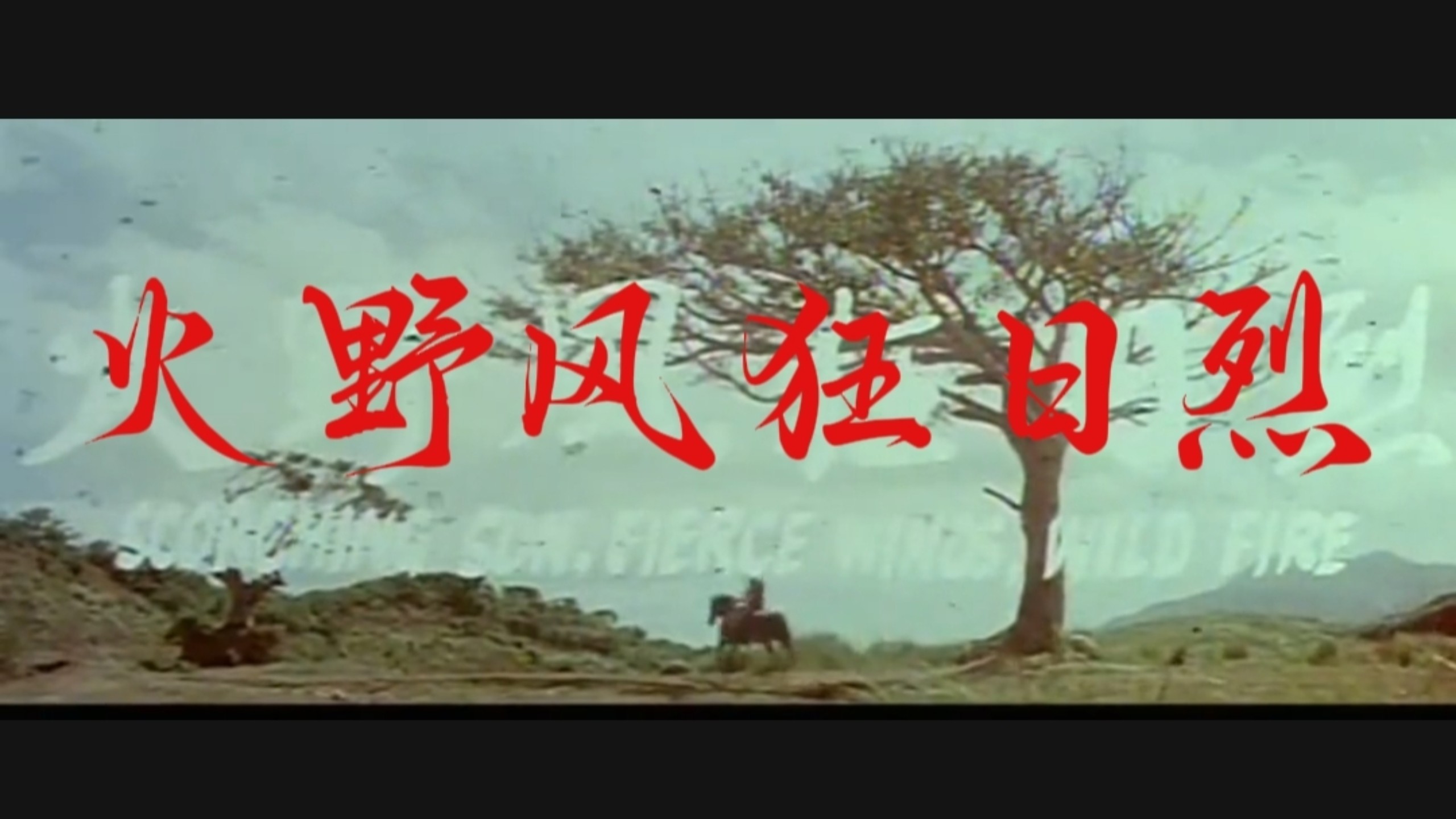 经典电影《烈日狂风野火》