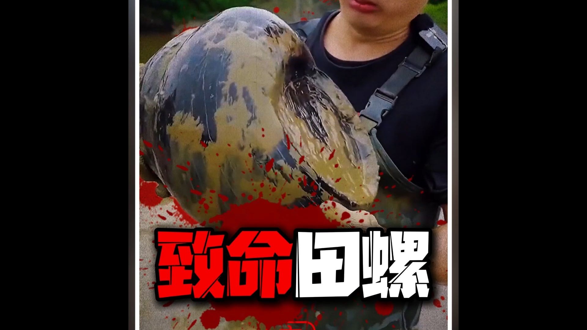 真实事件改编之《致命田螺》