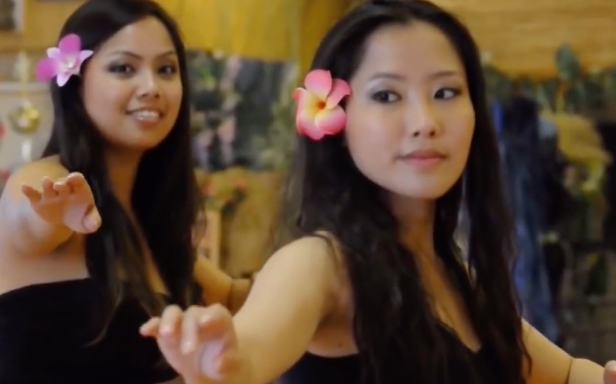 0基础草裙舞舞步入门（中英双语字幕）How to Hula Dance