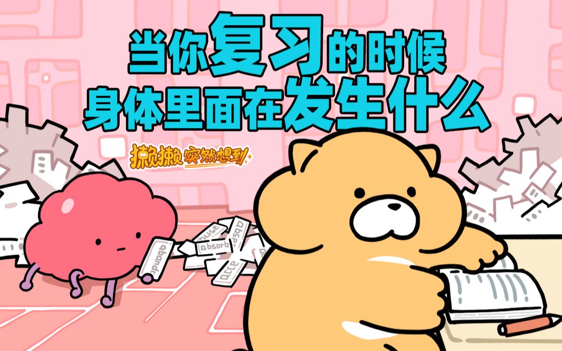 【獭獭突然想到】番外04 当你复习的时候，身体里面在发生什么